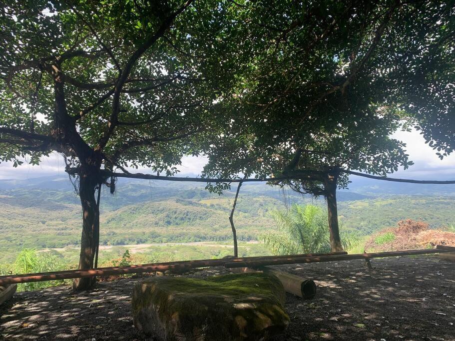 Appartement Disfruta Del Contacto Con La Naturaleza à Puntarenas Extérieur photo