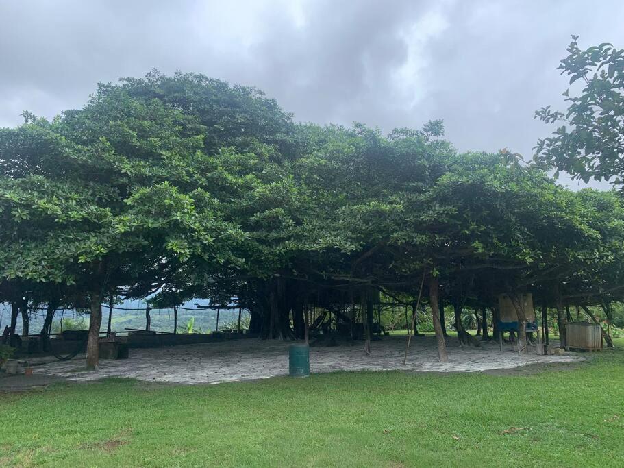 Appartement Disfruta Del Contacto Con La Naturaleza à Puntarenas Extérieur photo