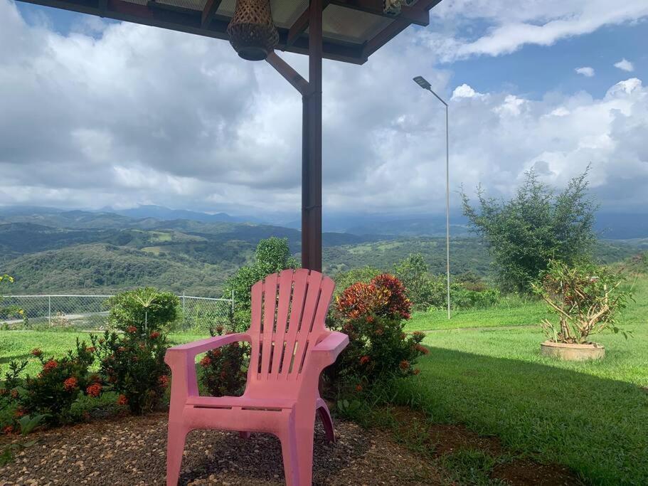 Appartement Disfruta Del Contacto Con La Naturaleza à Puntarenas Extérieur photo