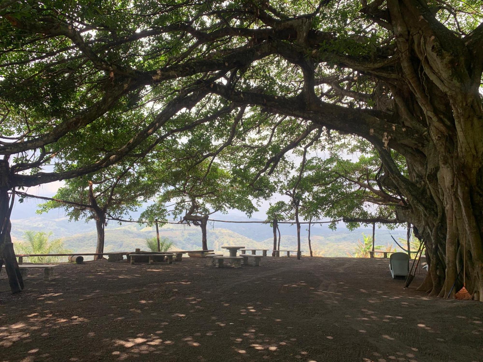 Appartement Disfruta Del Contacto Con La Naturaleza à Puntarenas Extérieur photo