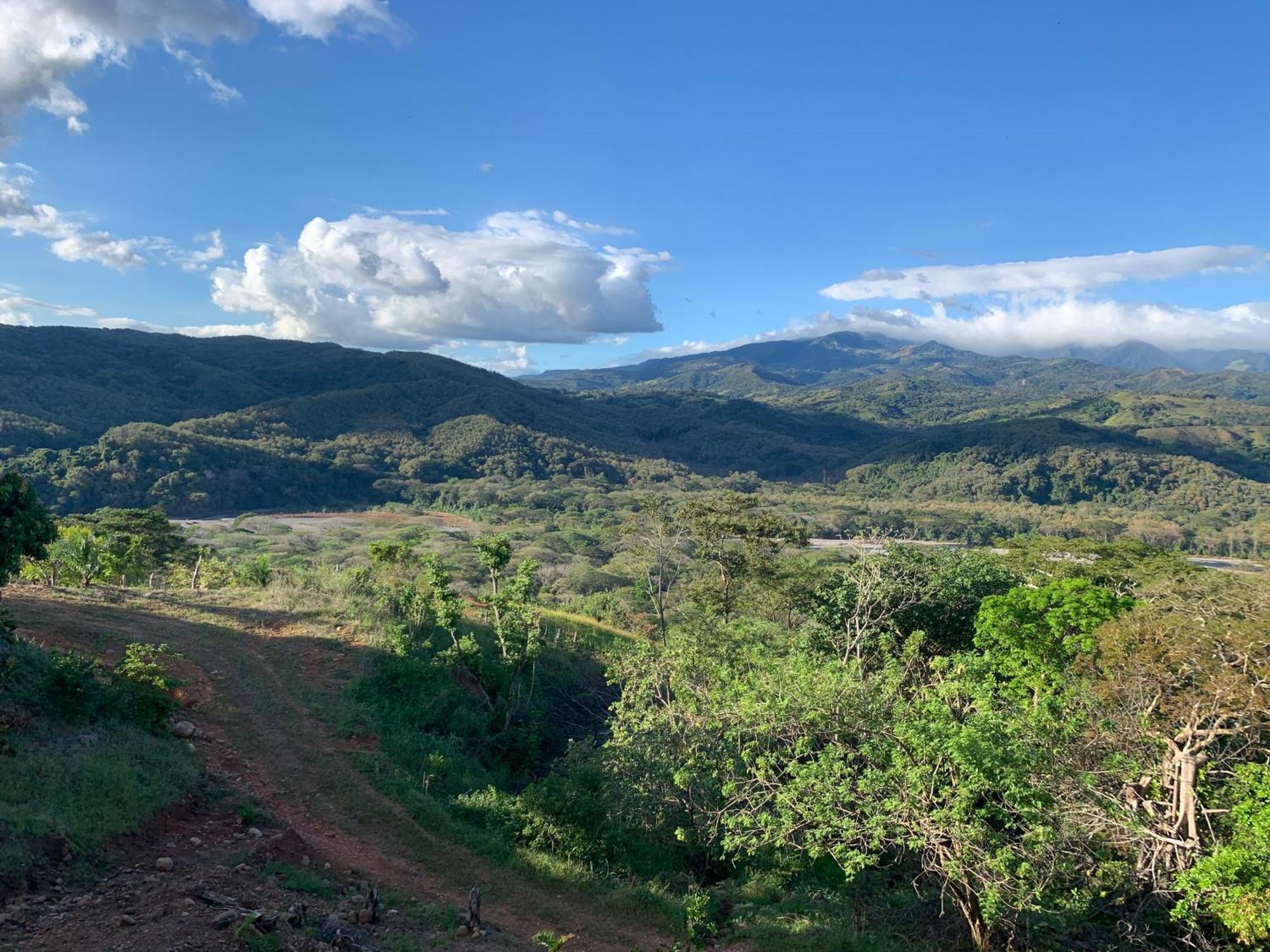 Appartement Disfruta Del Contacto Con La Naturaleza à Puntarenas Extérieur photo
