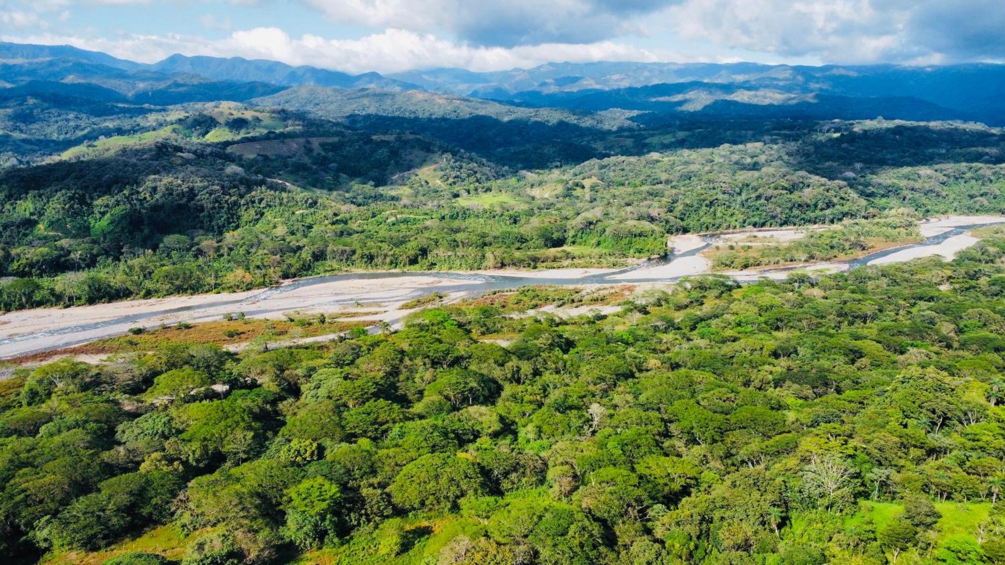 Appartement Disfruta Del Contacto Con La Naturaleza à Puntarenas Extérieur photo